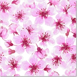 Cherry blossom watercolor Posters and Art